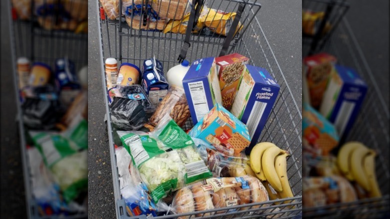 Aldi grocery shopper's cart