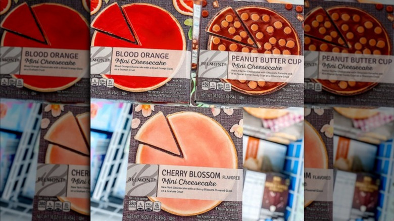 Aldi's new  Belmont Cheesecake Bites