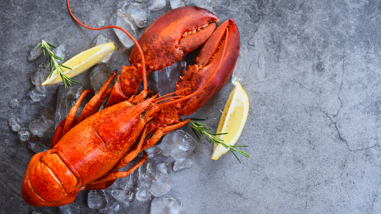 Lobster on ice with lemon