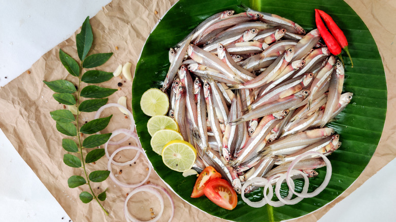 A plate of anchovies