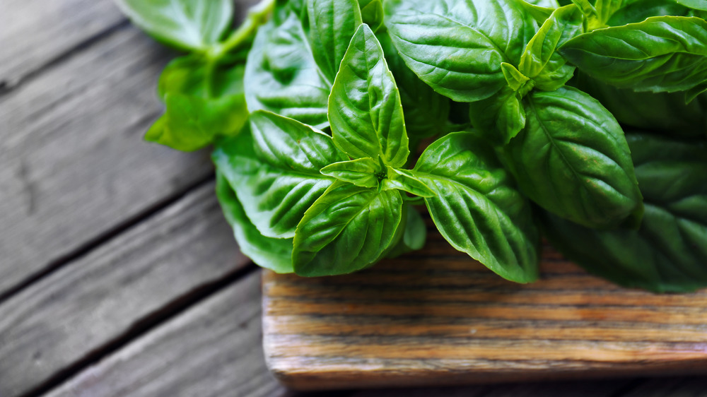 Fresh basil on wooden cutting noard