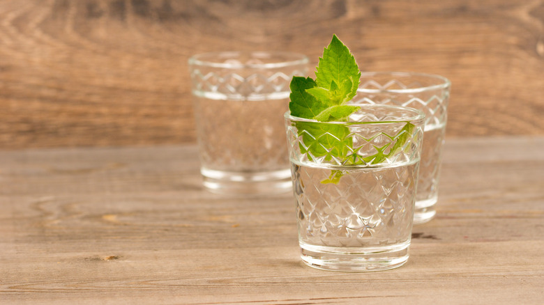 Shots of peppermint schnapps with mint