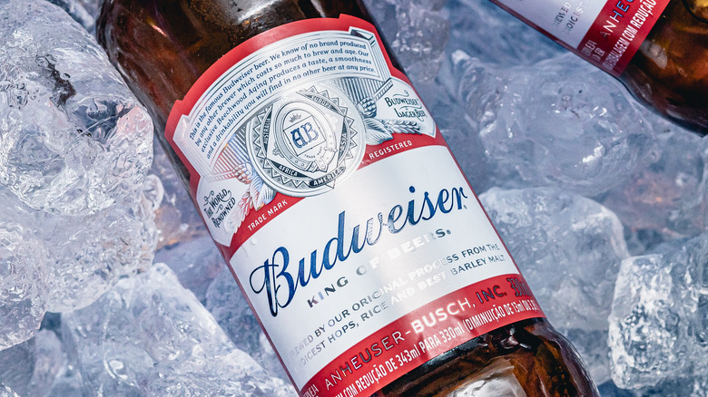 Budweiser beer on ice