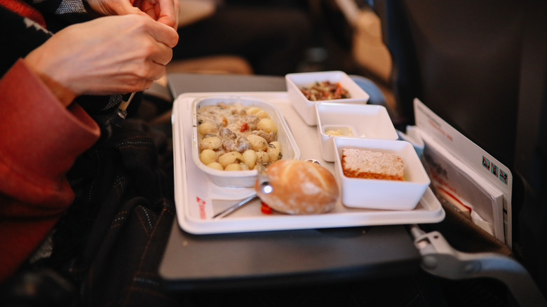 Airplane meal