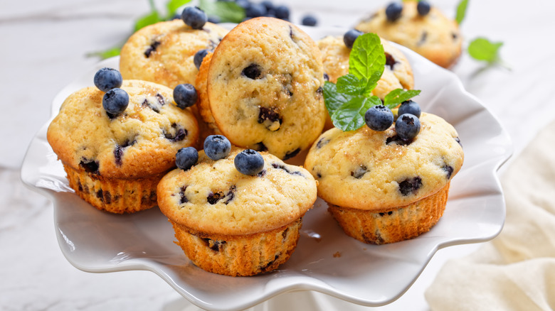 Blueberry muffins in a plate