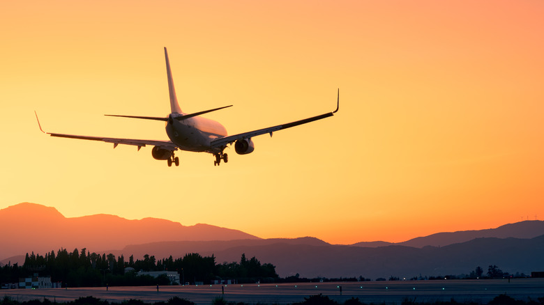 airplane landing at sunset