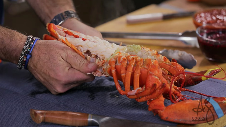 Andrew Zimmern cracking lobster shell