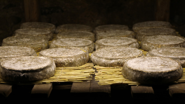 aging cheese, cheese cave france
