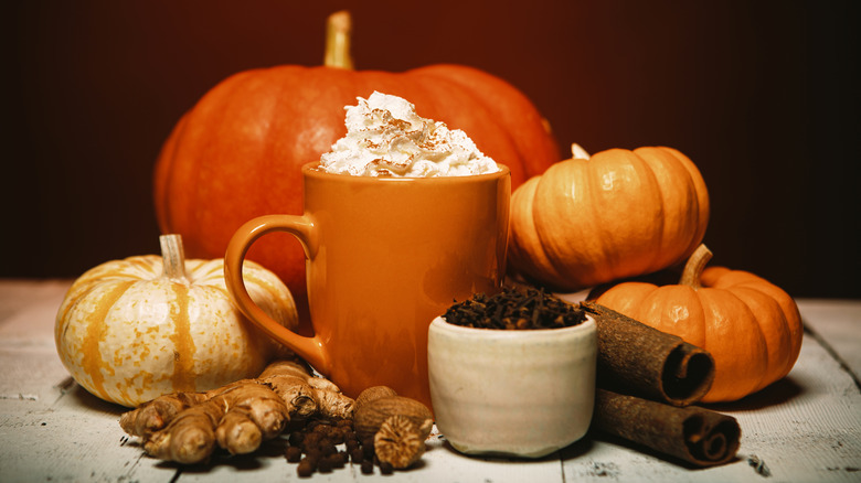 A pumpkin spice hot drink with whipped cream