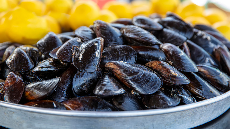 Cooked mussels in lemon sauce. 