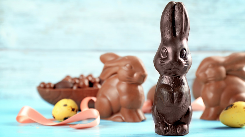 Chocolate bunnies