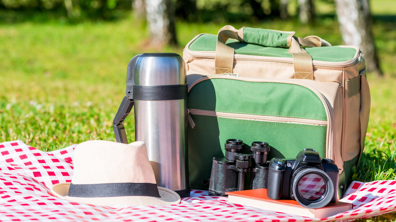 cooler on picnic blanket