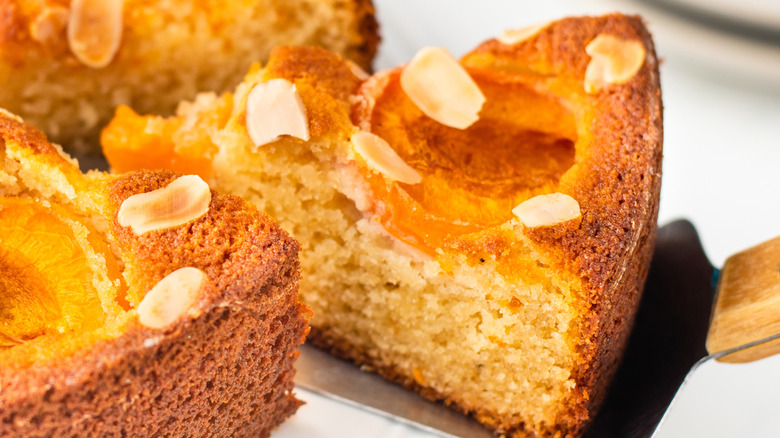 slice of apricot almond cake