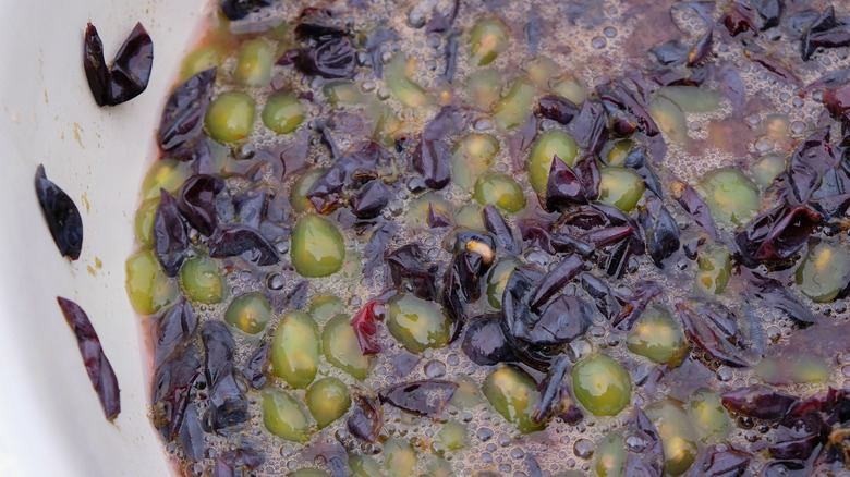 fermenting grape mash