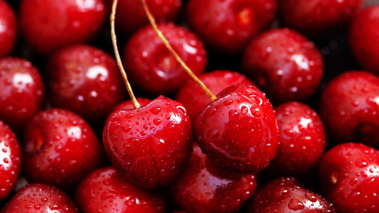 bright red cherries 