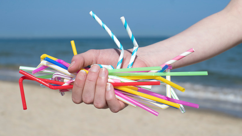 hand holding straws on beach