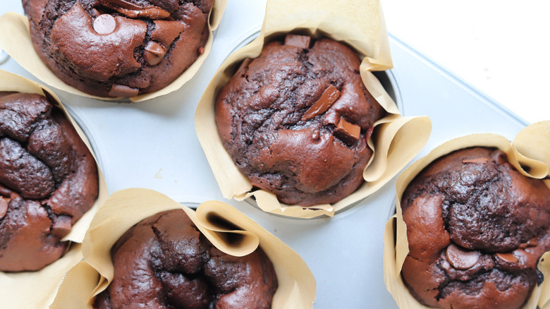 chocolate muffins in pan