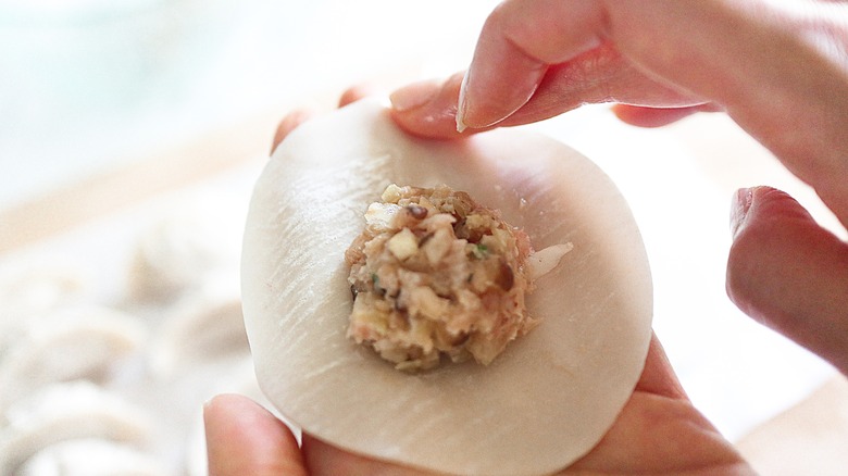 Fried Pork Gyoza mix assembly