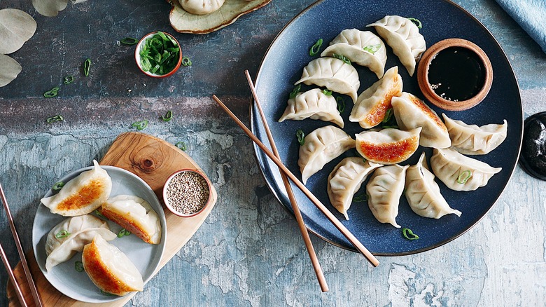 Fried Pork Gyoza on plate