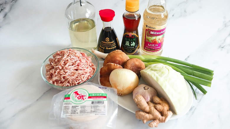 Fried Pork Gyoza close ingredients 