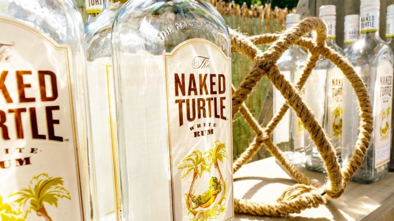 naked turtle