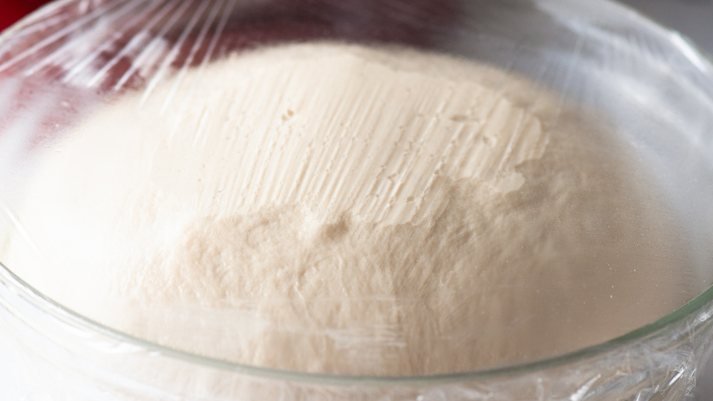 baguette recipe dough rising