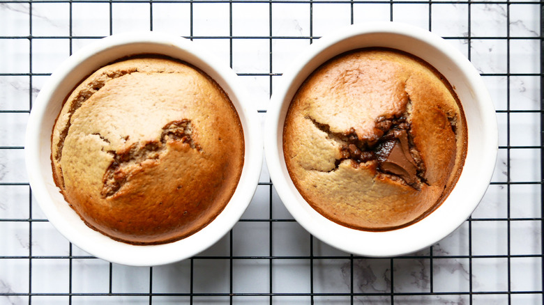 Baked oatmeal on racks out of the oven with Nutella oozing from top