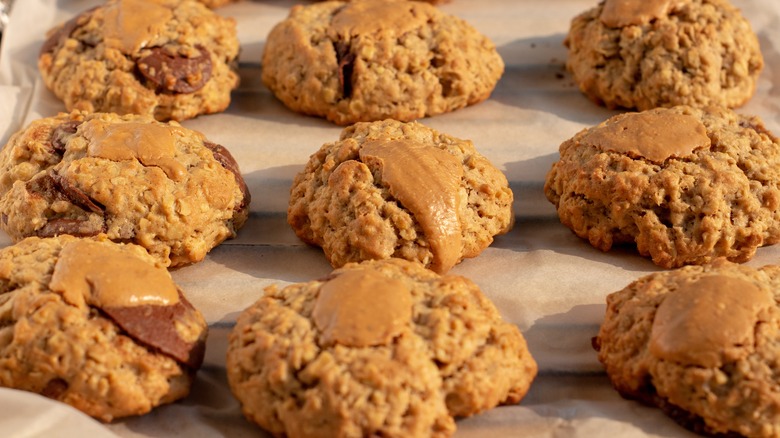 chewy chocolate chip peanut butter oatmeal cookies