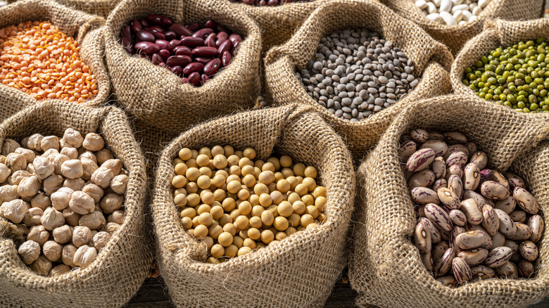 Different variety of dried beans