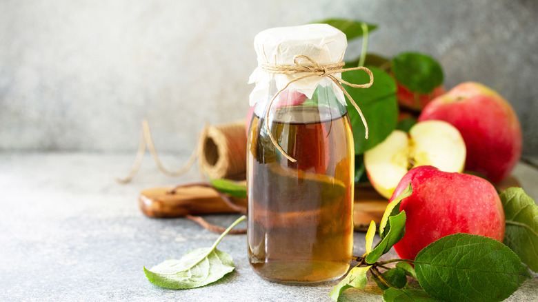 homemade apple cider vinegar