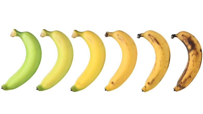 stages of banana ripening