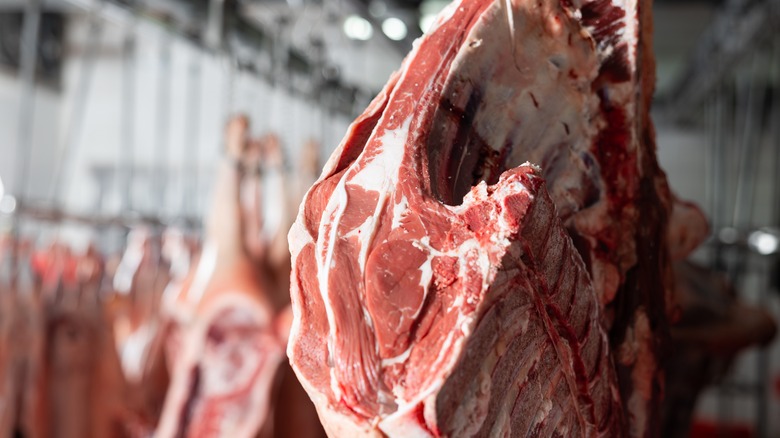 meat hanging for dry aging