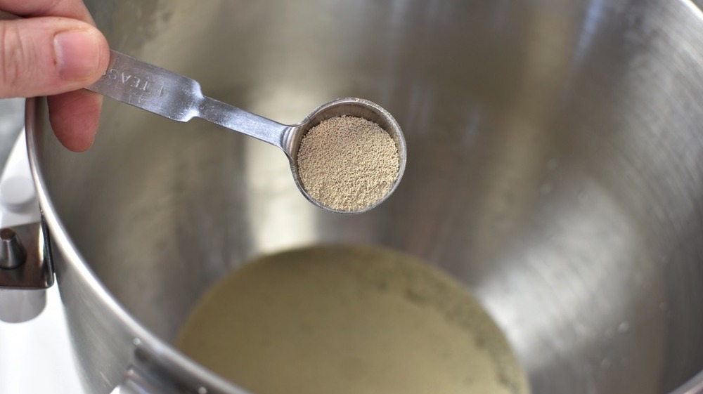 prepping beignet yeast