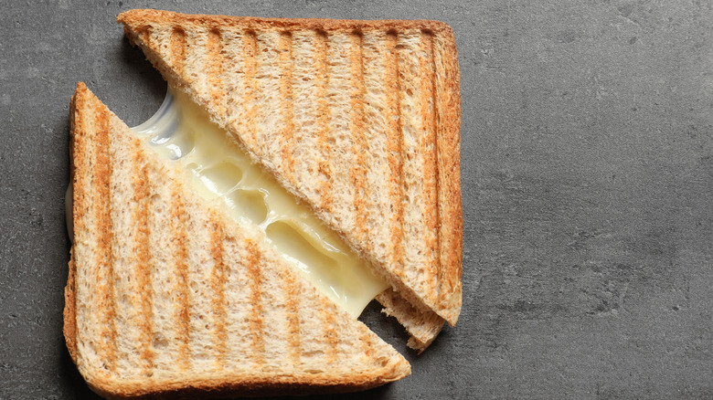 Grilled cheese sandwich gray background