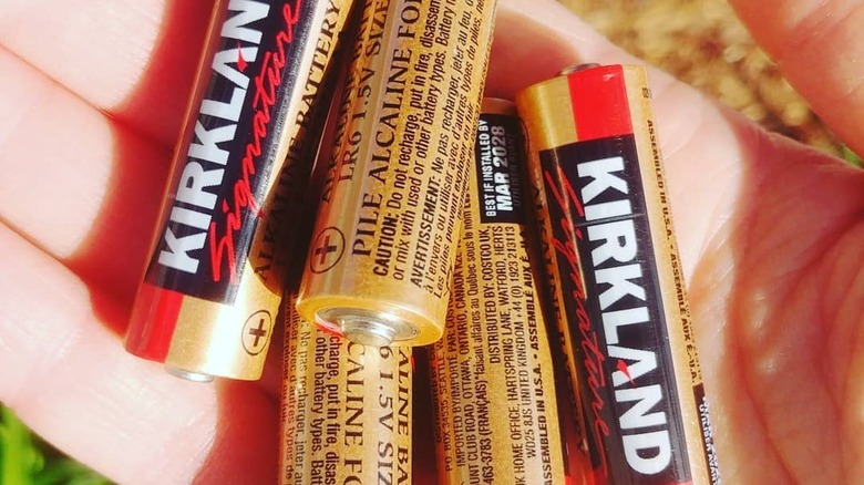 Kirkland Signature batteries