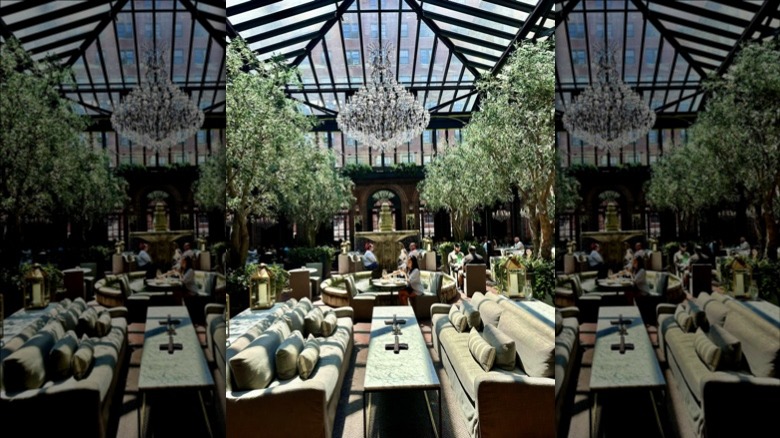 chandelier and trees inside three arts club cafe