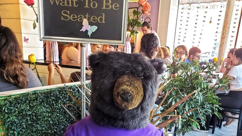 bear standing at wait to be seated sign