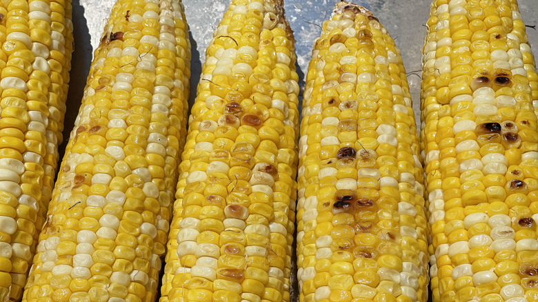 finished grilled corn on the cob