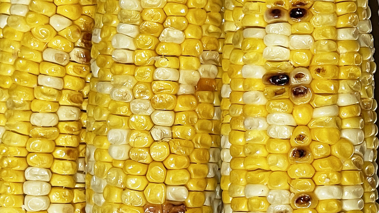 corn close-up