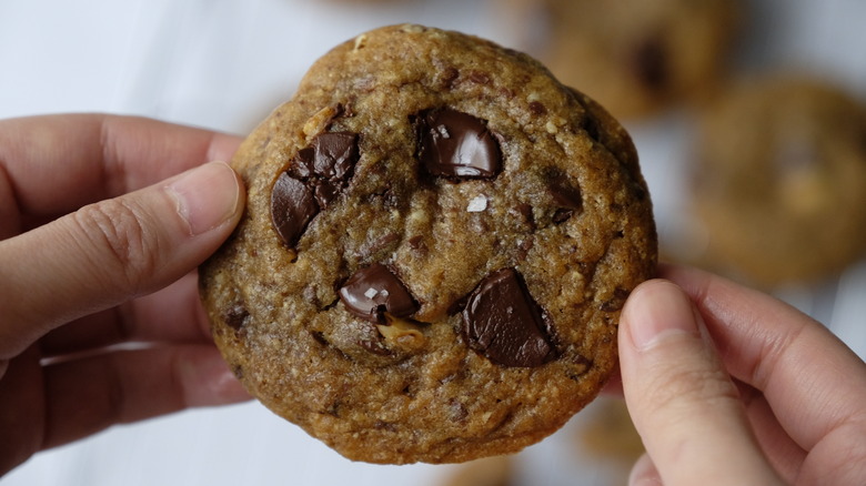 chocolate chip cookie in hand