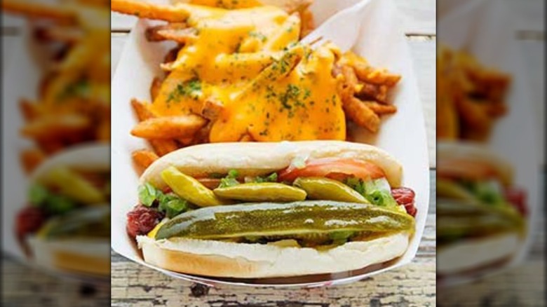 Pickle hot dog and fries