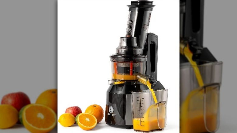 Ventray Slow Juicer Machine (809)