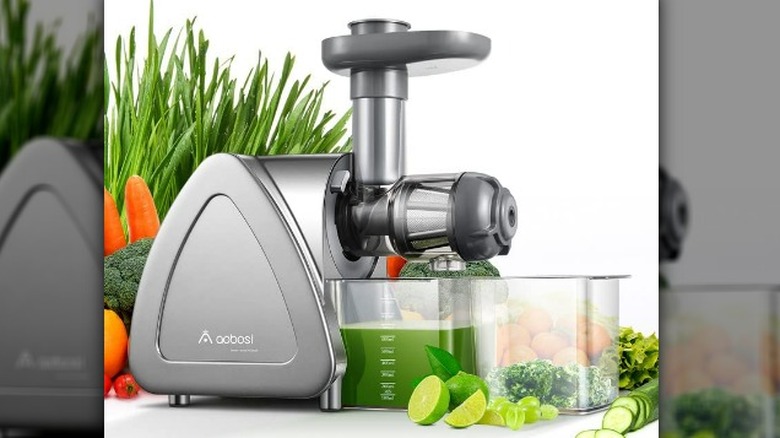 Aobosi Slow Masticating Juicer 