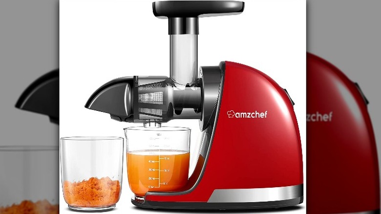 AMZChef Masticating Juicer