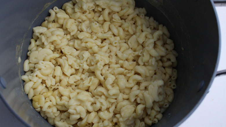 pasta in a pot 