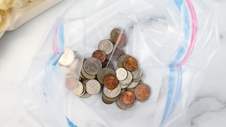 bag with coins