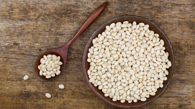 A bowl and spoon with navy beans