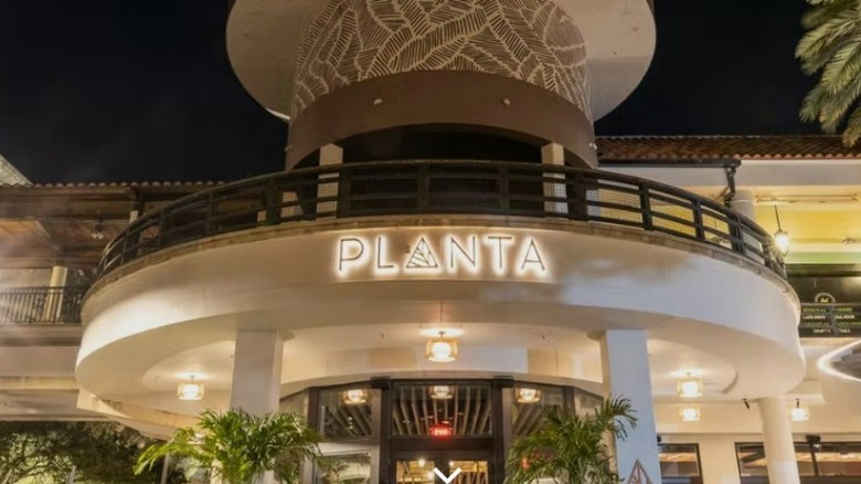 PLANTA Restaurant