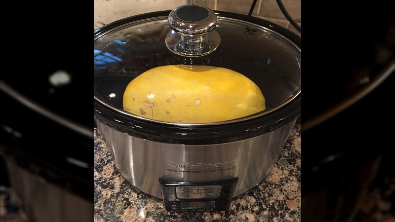 slow cooker