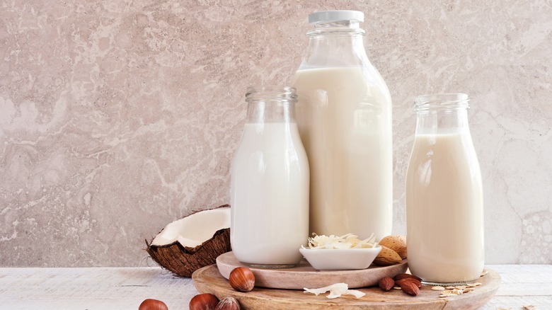 plant-based milk alternatives